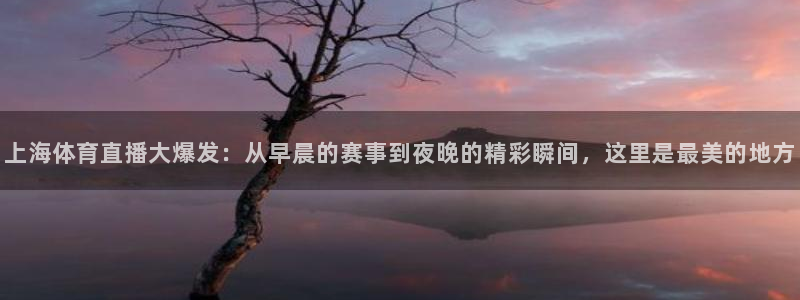 足球直播火凤直播：上海体育直播大爆发：从早晨的赛事到夜晚的精彩瞬间，这里是最美的地方