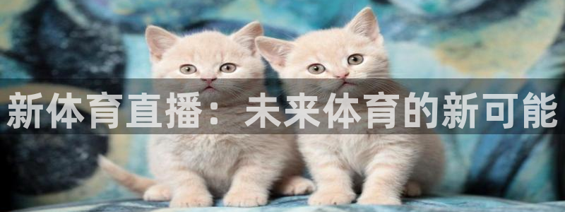 火凤体育nba直播：新体育直播：未来体育的新可能
