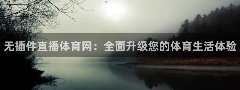 火凤足球直播免费观看：无插件直播体育网：全面升级您的体育生活体验