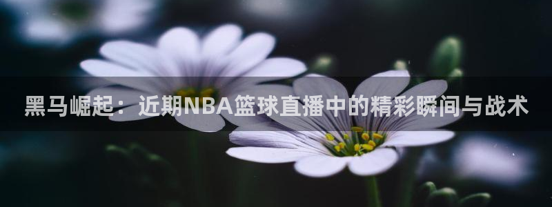 火凤直播体育官网：黑马崛起：近期NBA篮球直播中的精彩瞬间与战术