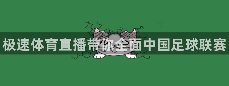 火凤体育赛事直播：极速体育直播带你全面中国足球联赛
