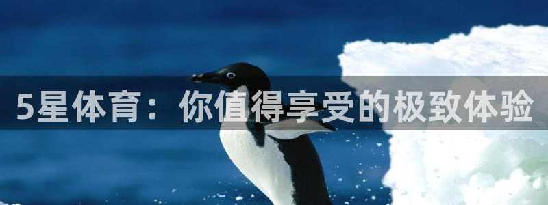 火凤直播体育app下载安装：5星体育：你值得享受的极致体验
