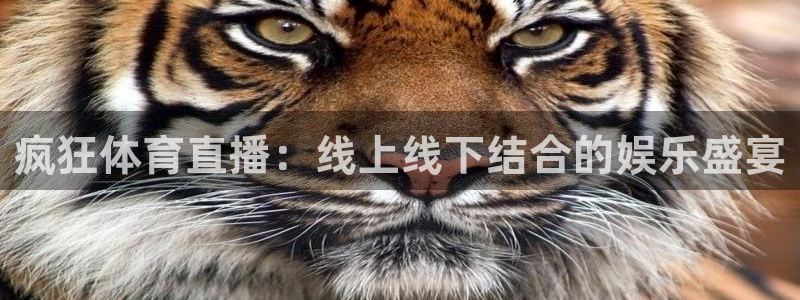 火凤直播体育免费直播火箭：疯狂体育直播：线上线下结合的娱乐盛宴