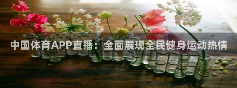 火凤直播五大联赛：中国体育APP直播：全面展现全民健身运动热情