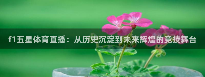 火凤体育直播免费比赛：f1五星体育直播：从历史沉淀到未来辉煌的竞技舞台