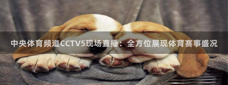 火凤免费观看体育直播：中央体育频道CCTV5现场直播：全方位展现体育赛事盛况
