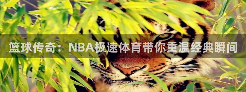 火凤直播体育官网入口在线观看：篮球传奇：NBA极速体育带你重温经典瞬间