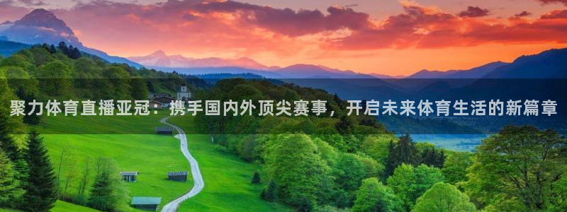 火凤体育直播高清入口：聚力体育直播亚冠：携手国内外顶尖赛事，开启未来体育生活的新篇章